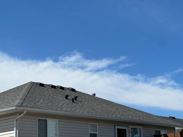 Trusted Hernando Beach, FL Roofing Services Experts